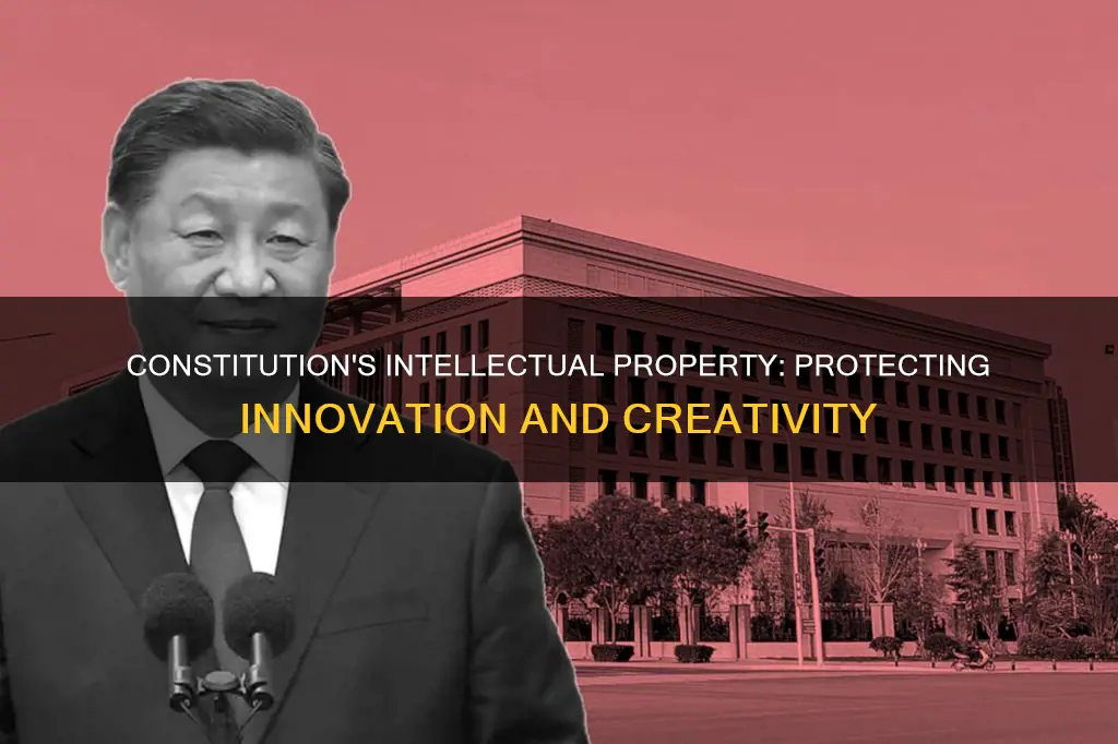 why is intellectual property covered in the constitution