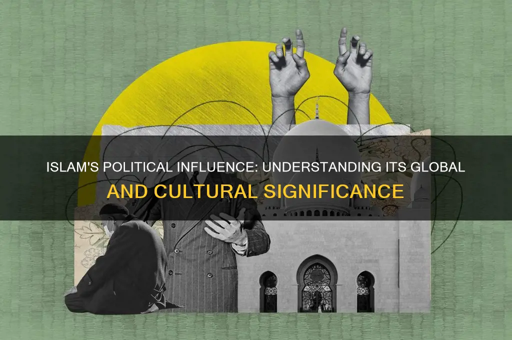 why is islam politically salient