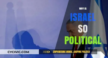 Israel's Political Landscape: Historical Roots and Global Implications Explained