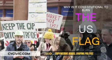 Flag Burning: Free Speech or a Crime?