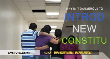 New Constitutions: A Dangerous Game of Change