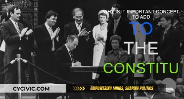 The Constitution: Why Amendments Matter