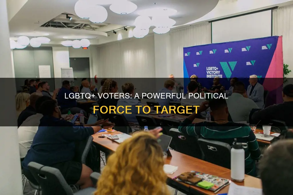 why is it important for political campaigns to tagarget lgbt