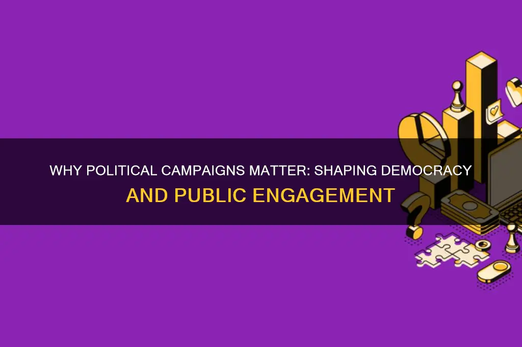 why is it important for political parties to campaign