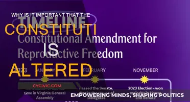 The Living Constitution: Adapting to a Changing World