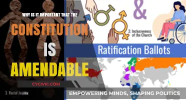 Amendable Constitution: Adapting to a Changing World