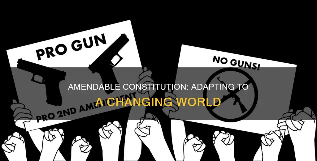 why is it important that the constitution is amendable