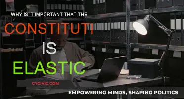 The Elastic Constitution: Adapting to a Changing Nation