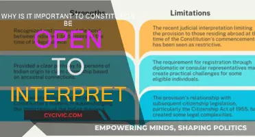 Interpreting the Constitution: Adapting to a Changing World