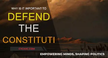 The Constitution: Our Freedom's Defense Manual