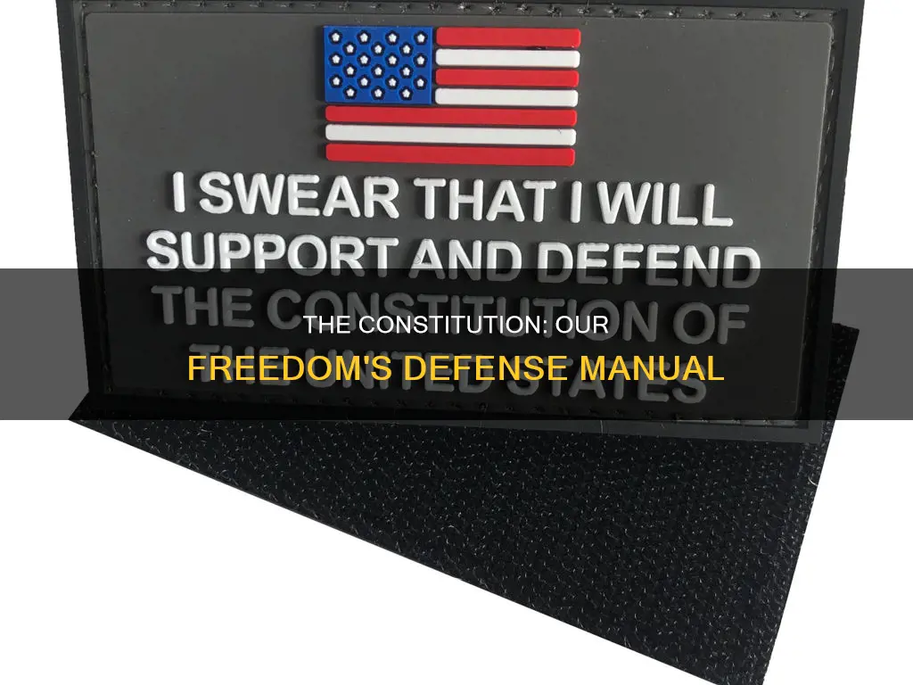 why is it important to defend the constitution