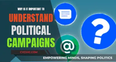 Political Campaigns: Understanding the Power of Persuasion