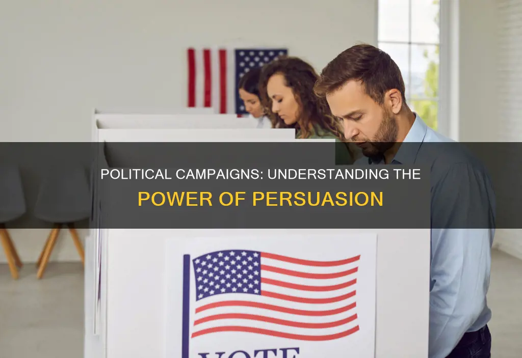 why is it important to understand political campaigns