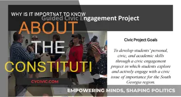 Understanding the Constitution: Our Rights and Freedoms