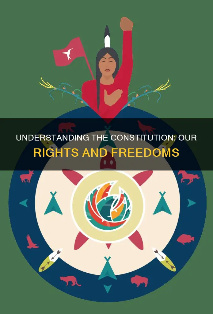 why is it importnat to know about the constitution