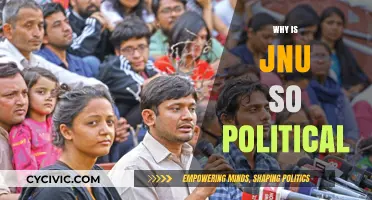 Why JNU's Political Culture Stands Out in Indian Academia