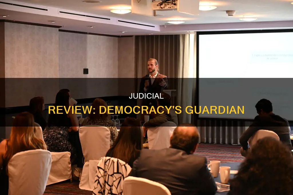 why is judicial review important in a constitutional democracy