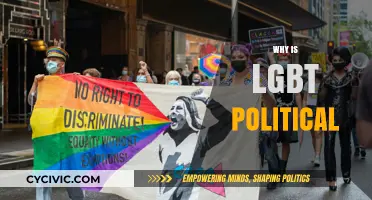 LGBT Politics: Identity, Rights, and the Fight for Equality Explained