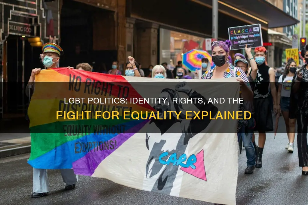 why is lgbt political