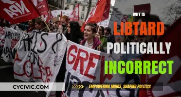 Why 'Libtard' is Offensive and Politically Incorrect: Explained