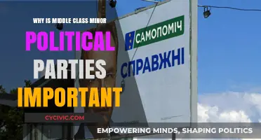 Why Middle-Class Minor Political Parties Matter in Modern Democracy
