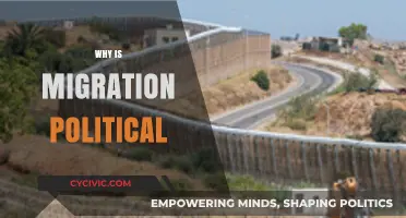 Migration's Political Divide: Power, Borders, and Identity in Global Politics