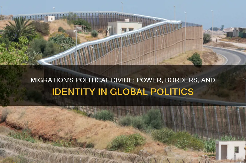 why is migration political