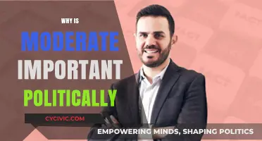 The Crucial Role of Moderation in Political Discourse