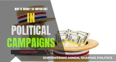 Money Talks: Political Campaigns and the Power of Funds