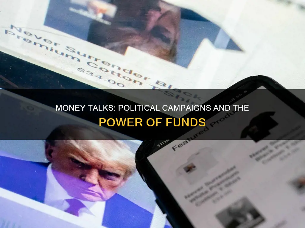 why is money so important in political campaigns