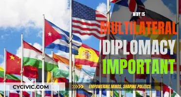 Multilateral Diplomacy: A Necessary Global Collaboration