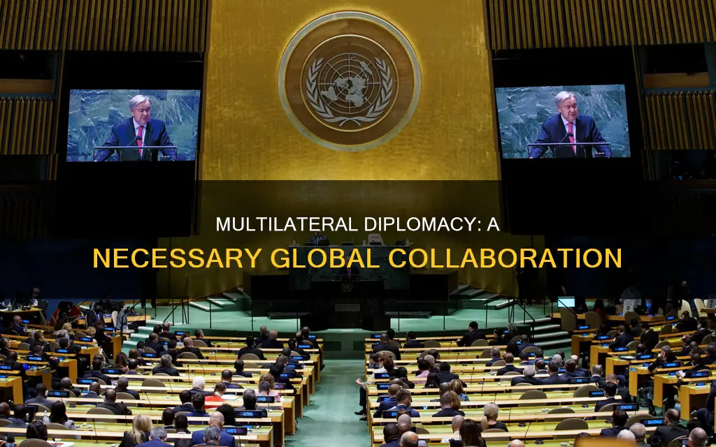 why is multilateral diplomacy important