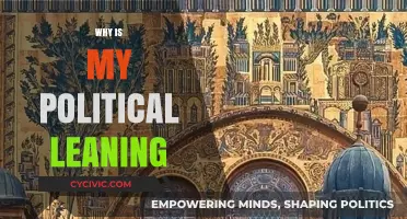 Exploring the Roots of Your Political Leaning: A Personal Journey