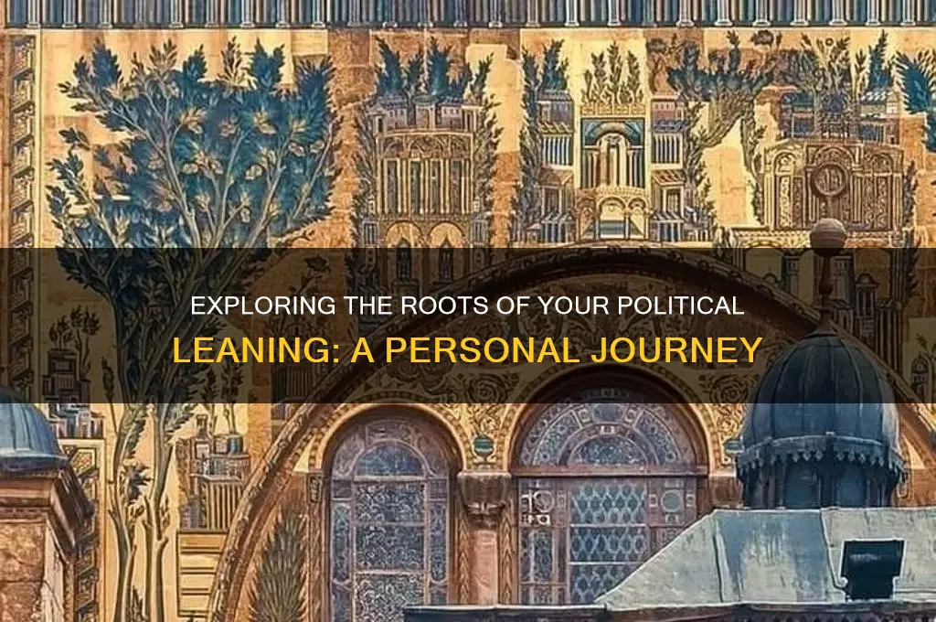 why is my political leaning