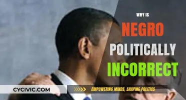 Why 'Negro' is Now Considered Politically Incorrect Language
