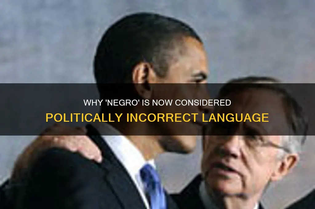 why is negro politically incorrect