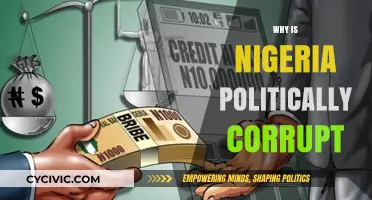 Roots of Political Corruption in Nigeria: Historical, Economic, and Social Factors