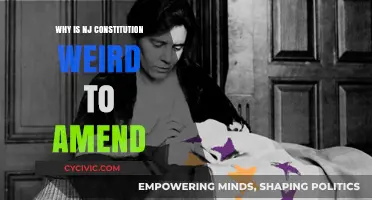 Amending NJ's Constitution: A Unique Challenge