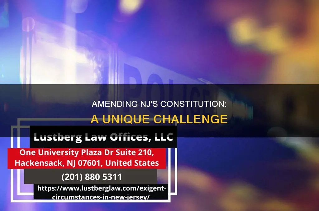 why is nj constitution weird to amend
