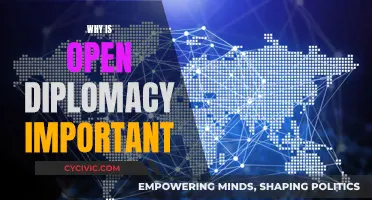 Open Diplomacy: Why Transparency Matters in Foreign Policy?