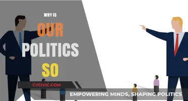 Why Our Politics Remain Polarized, Dysfunctional, and Divisive Today