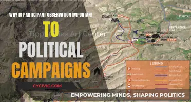 Participant Observation: Political Campaign Insights and Strategies