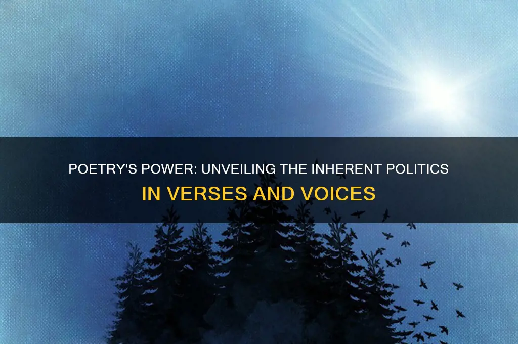 why is poetry political
