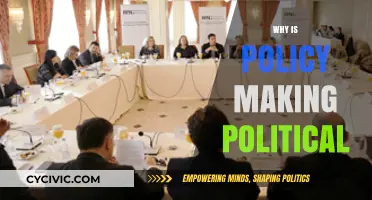 The Intricate Dance: Why Policy Making is Inherently Political