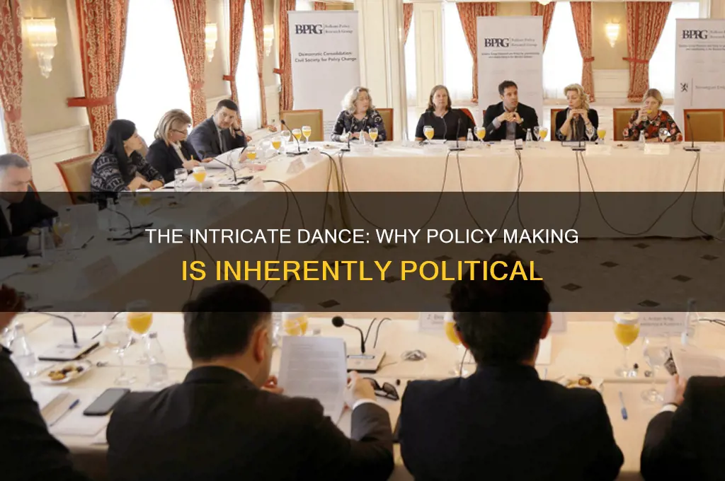why is policy making political