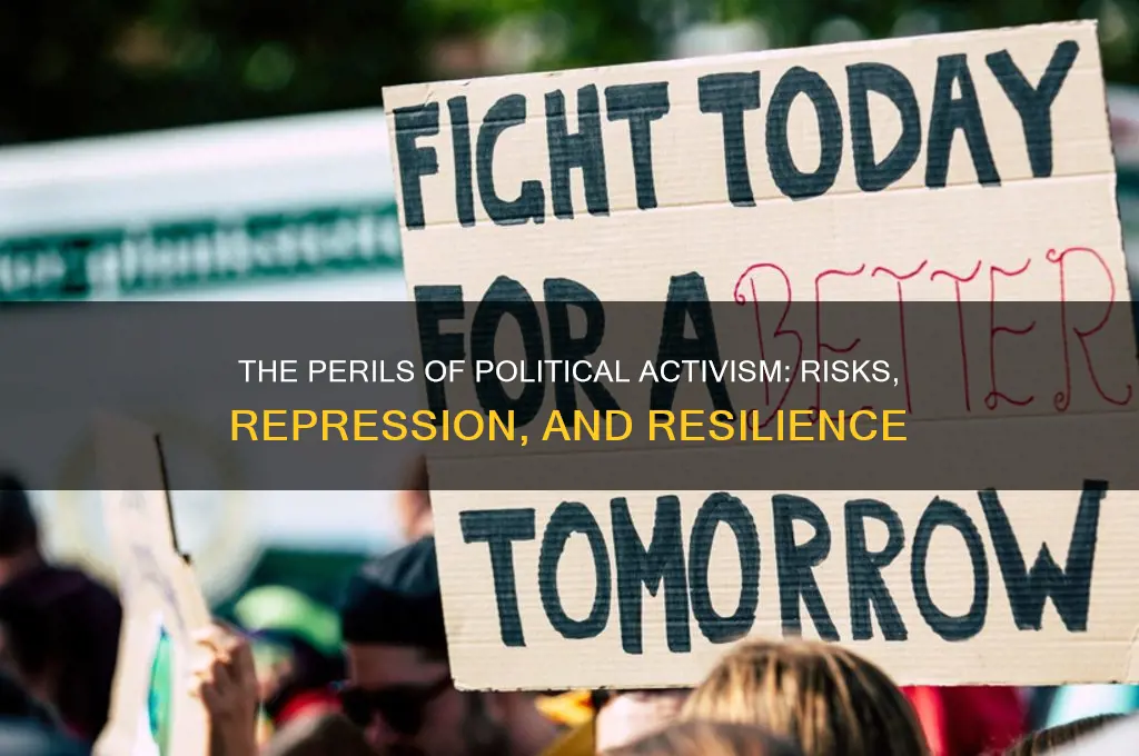 why is political activism dangerous