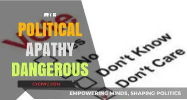 Political Apathy's Peril: How Disengagement Threatens Democracy and Society