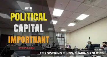 Why Political Capital Matters: Power, Influence, and Policy Success Explained