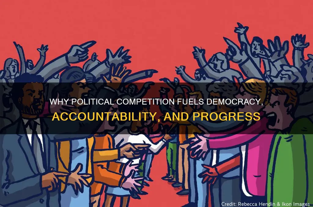 why is political competition necessary