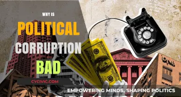 The Devastating Impact of Political Corruption on Society and Governance